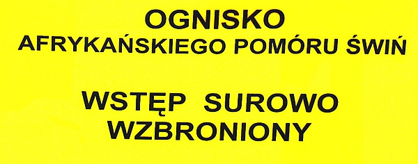 Afrykański pomór świń na Białorusi