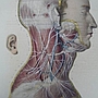 THE PIONEERS OF NEUROSCIENCE IN POLAND THE PIONEERS OF NEUROSCIENCE IN POLAND