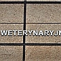 Weterynaria UWM awansuje w prestiżowym rankingu GRAS 2022